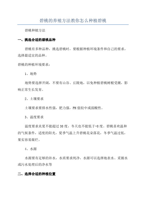 碧桃的养殖方法教你怎么种植碧桃