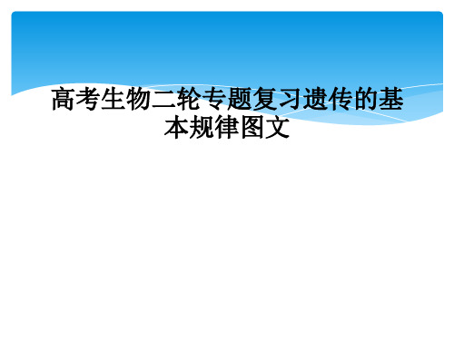 高考生物二轮专题复习遗传的基本规律图文