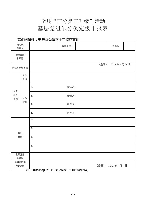 三分类三升级表格