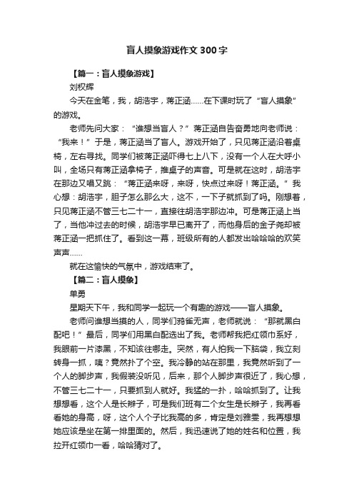 盲人摸象游戏作文300字