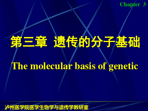 《医学遗传学》第三章.遗传的分子基础