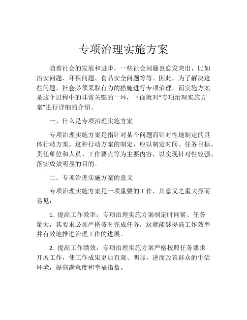 专项治理实施方案