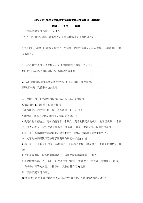 2022-2023学年六年级语文下册期末句子专项复习(有答案)