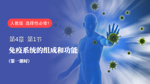 免疫系统的组成和功能(第一课时)-高二生物同步精品课件(人教版2019选择性必修1)