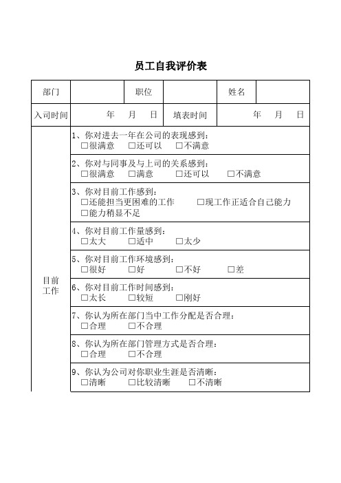 2019年度员工自我评价表-Excel图表模板