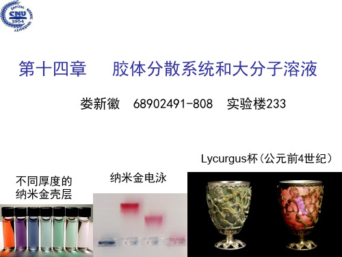 胶体分散系统和大分子溶液