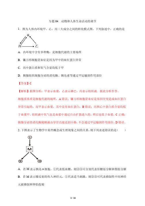 高考生物复习压轴题专题讲解与训练4---动物和人体生命活动的调节