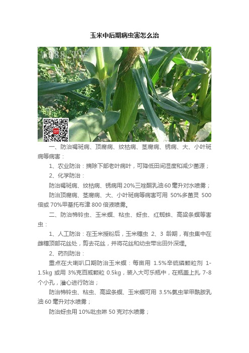 玉米中后期病虫害怎么治