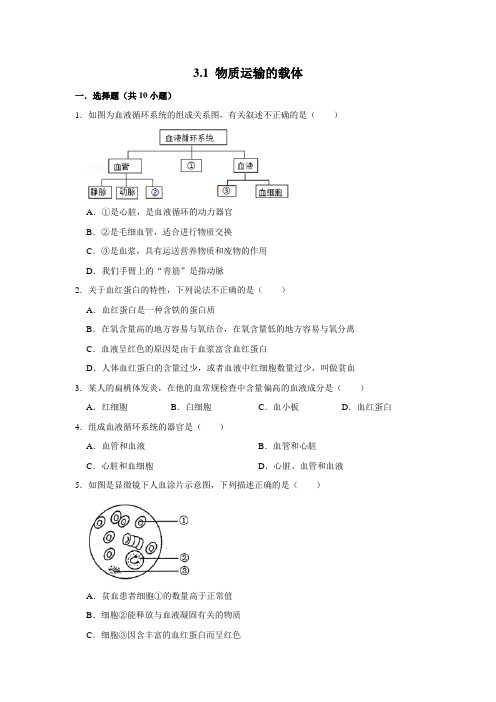 济南版生物七年级下册 物质运输的载体