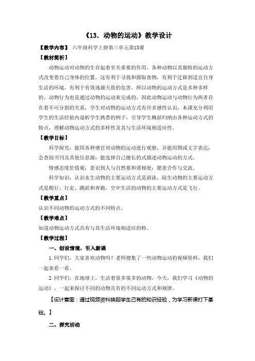 动物的运动