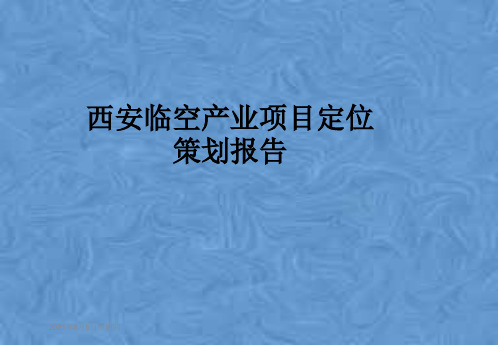 西安临空产业项目定位策划报告