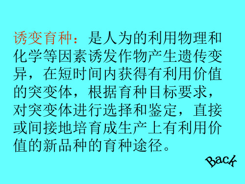 教学课件第七章诱变育种