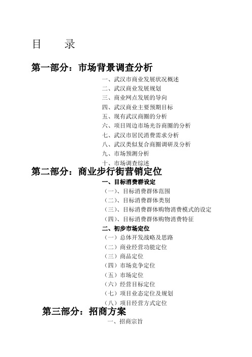 武汉光谷世界城商业步行街项目分析定位招商全程报告页