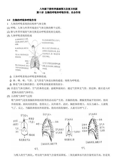 浙教版科学八下 第十讲 生物的呼吸和呼吸作用、光合作用(含解析)