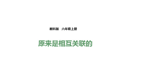 (教科版)小学六年级科学上册 第四单元第六课《原来是相互关联的》(课件)