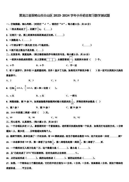 黑龙江省双鸭山市尖山区2023-2024学年小升初总复习数学测试题含解析