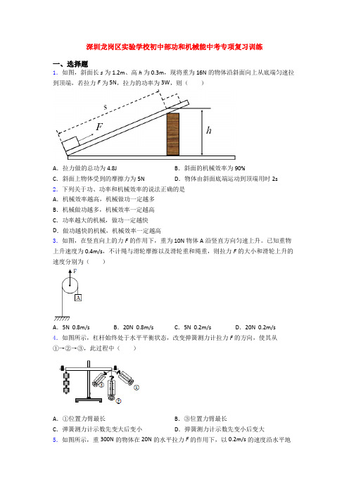 深圳龙岗区实验学校初中部功和机械能中考专项复习训练