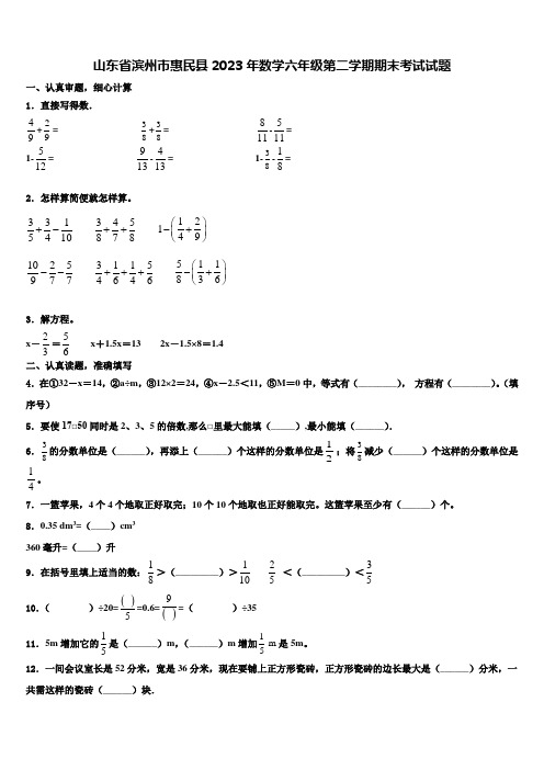 山东省滨州市惠民县2023年数学六年级第二学期期末考试试题含解析