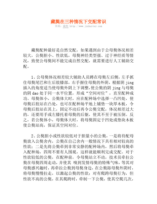 藏獒在三种情况下交配常识