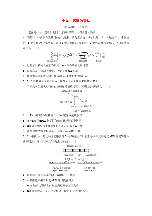 2025版高考生物一轮总复习课时质量评价19基因的表达