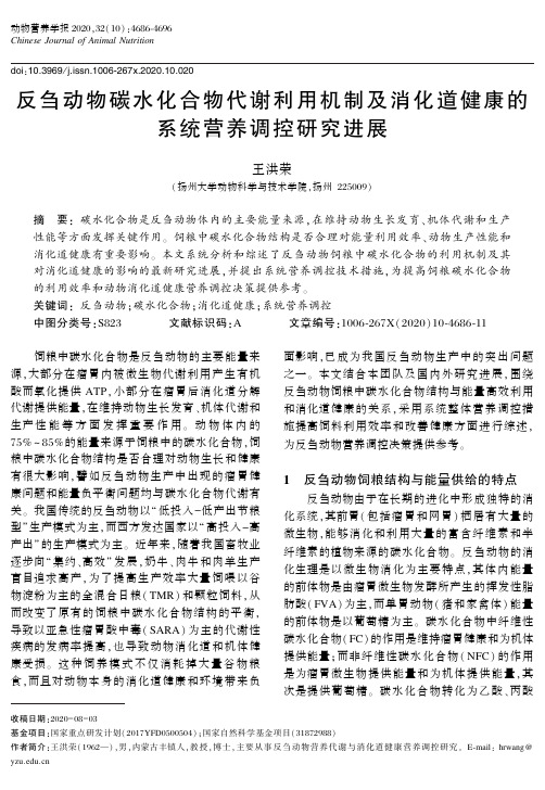 反刍动物碳水化合物代谢利用机制及消化道健康的系统营养调控研究进展