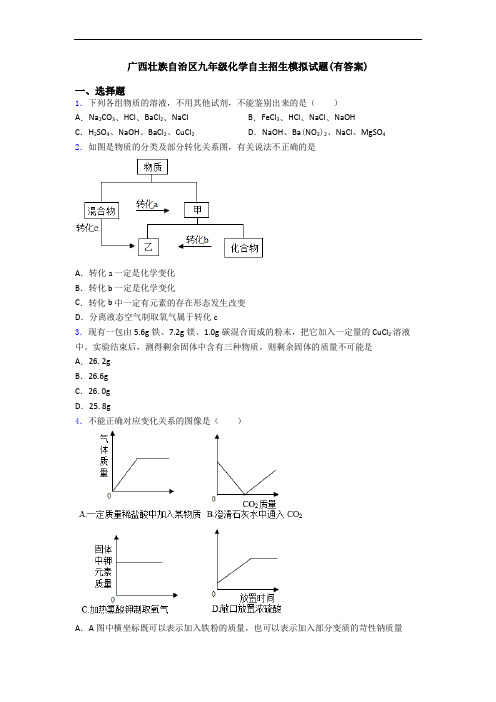 广西壮族自治区九年级化学自主招生模拟试题(有答案)