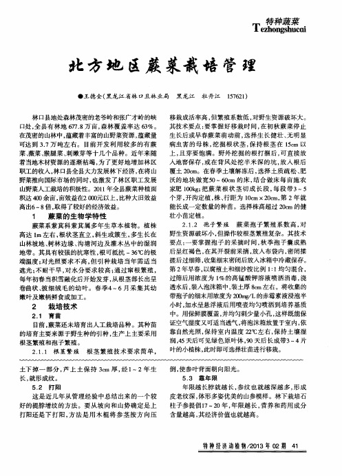北方地区蕨菜栽培管理
