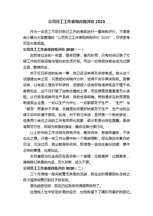 公司员工工作表现自我评价2020