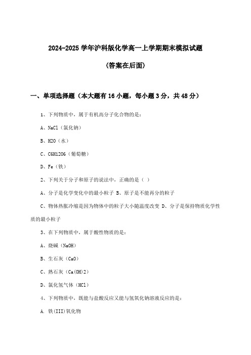 沪科版化学高一上学期期末试题及解答参考(2024-2025学年)