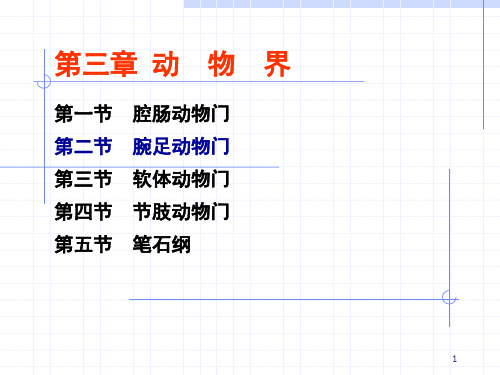 腕足动物门