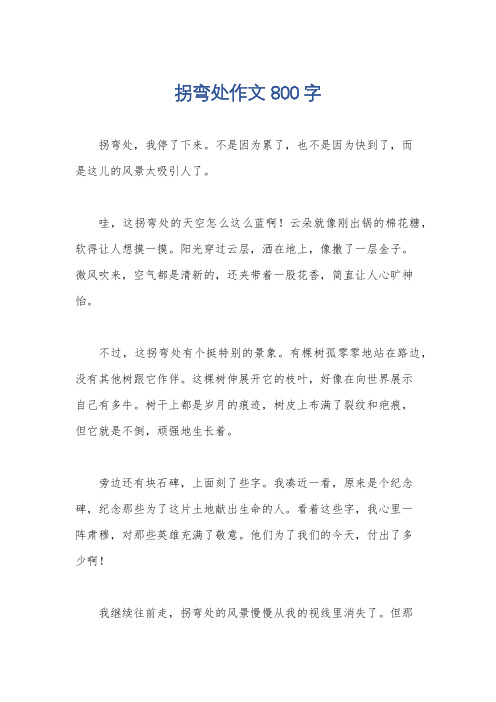 拐弯处作文800字