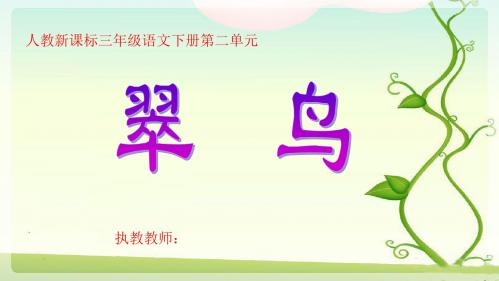 《翠鸟_》优秀PPT课件(全)