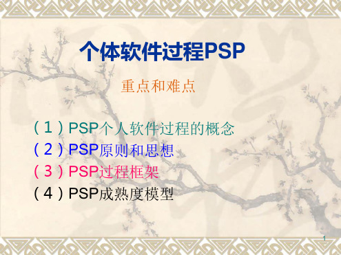 第二讲 个体软件过程PSP