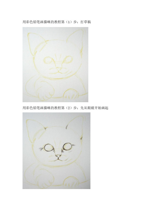 彩色铅笔绘画可爱的小猫咪详细步骤