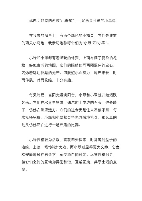 两只可爱的小乌龟作文450字