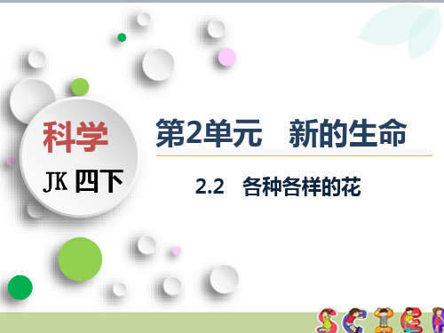 教科版四年级科学下册2.2 各种各样的花(教学课件)