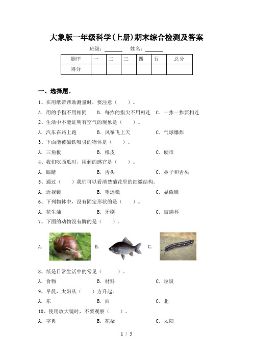 大象版一年级科学(上册)期末综合检测及答案