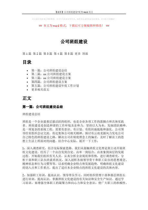 【最新】公司班组建设-优秀word范文 (15页)