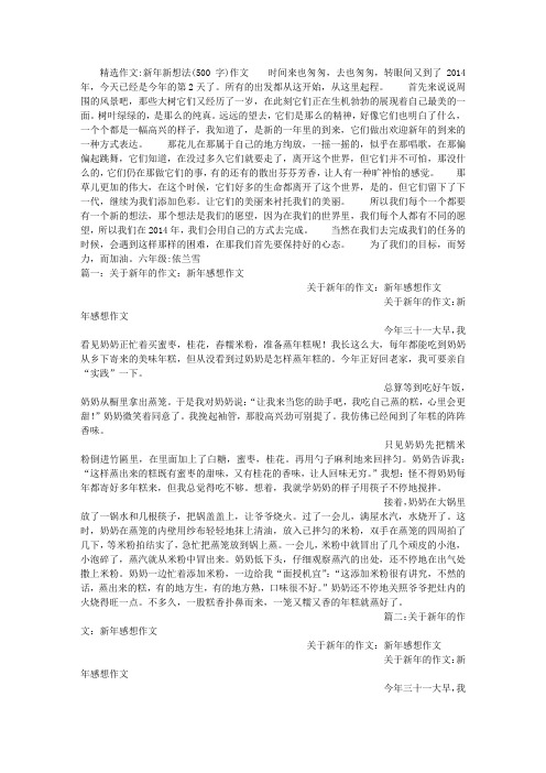 新年新想法(500字)作文
