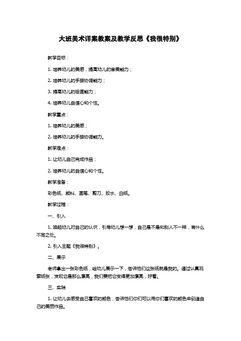 大班美术详案教案及教学反思《我很特别》