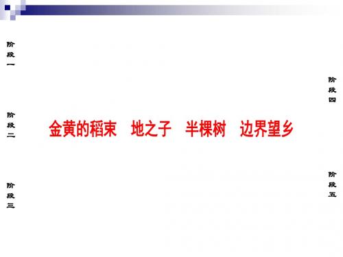 人教版选修《中国现代诗歌散文欣赏》第19课 半棵树 课件