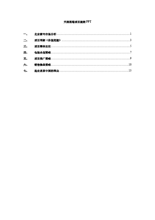 天润高端项目提纲