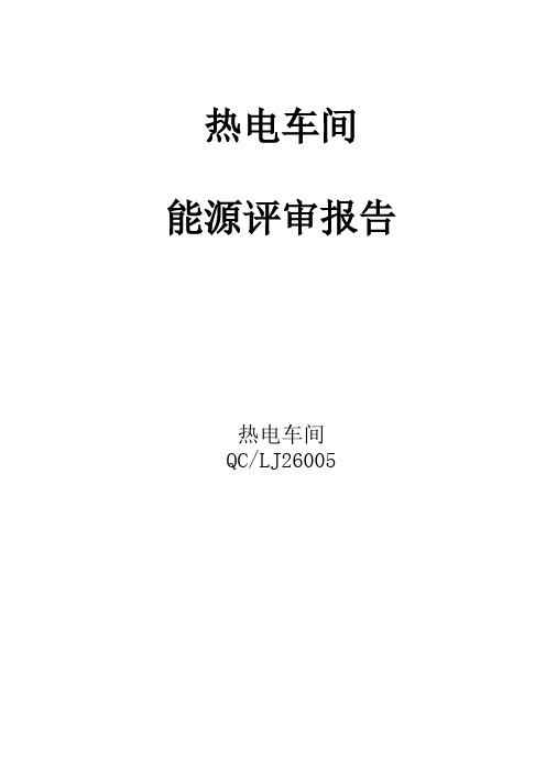 热电车间能源评审报告