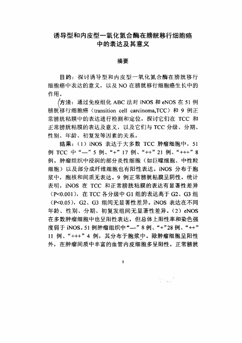 诱导型及内皮型一氧化氮合酶在膀胱移行细胞癌中的表达及其意义