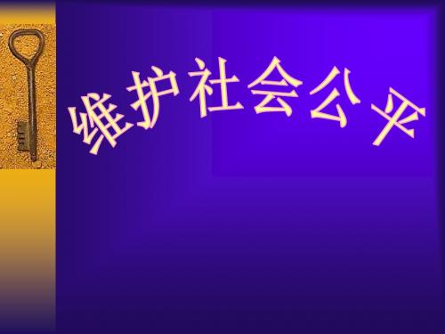 初二政治上学期维护社会公平ppt课件