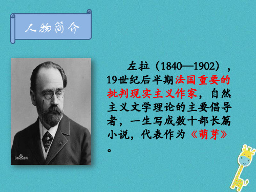 江苏省海安县八年级语文下册第六单元25在莫泊桑葬礼上的演说课件苏教版