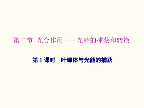 高中生物新苏教版必修1叶绿体与光能的捕获课件