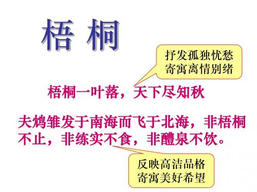 梧桐_意象