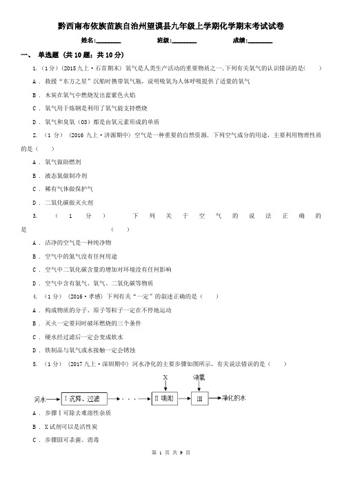 黔西南布依族苗族自治州望谟县九年级上学期化学期末考试试卷