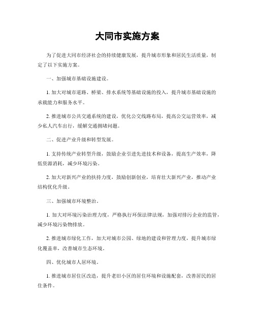 大同市实施方案